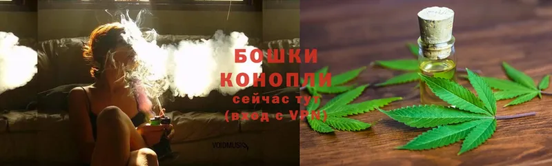 продажа наркотиков  Волхов  мега зеркало  МАРИХУАНА THC 21% 